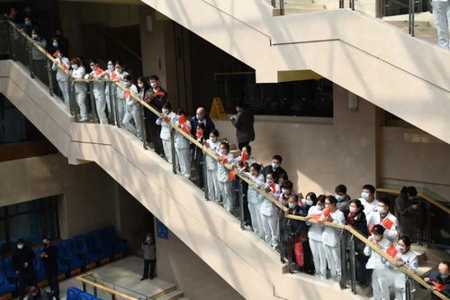 吉林英雄 吉林援鄂醫療隊凱旋攝影作品選 咨詢策劃服務