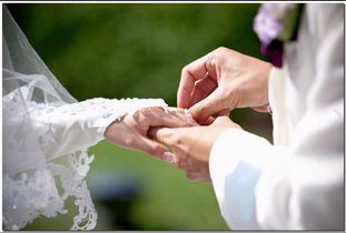 定格永恒瞬間 terry.l photography 專業(yè)攝影服務(wù)全解析